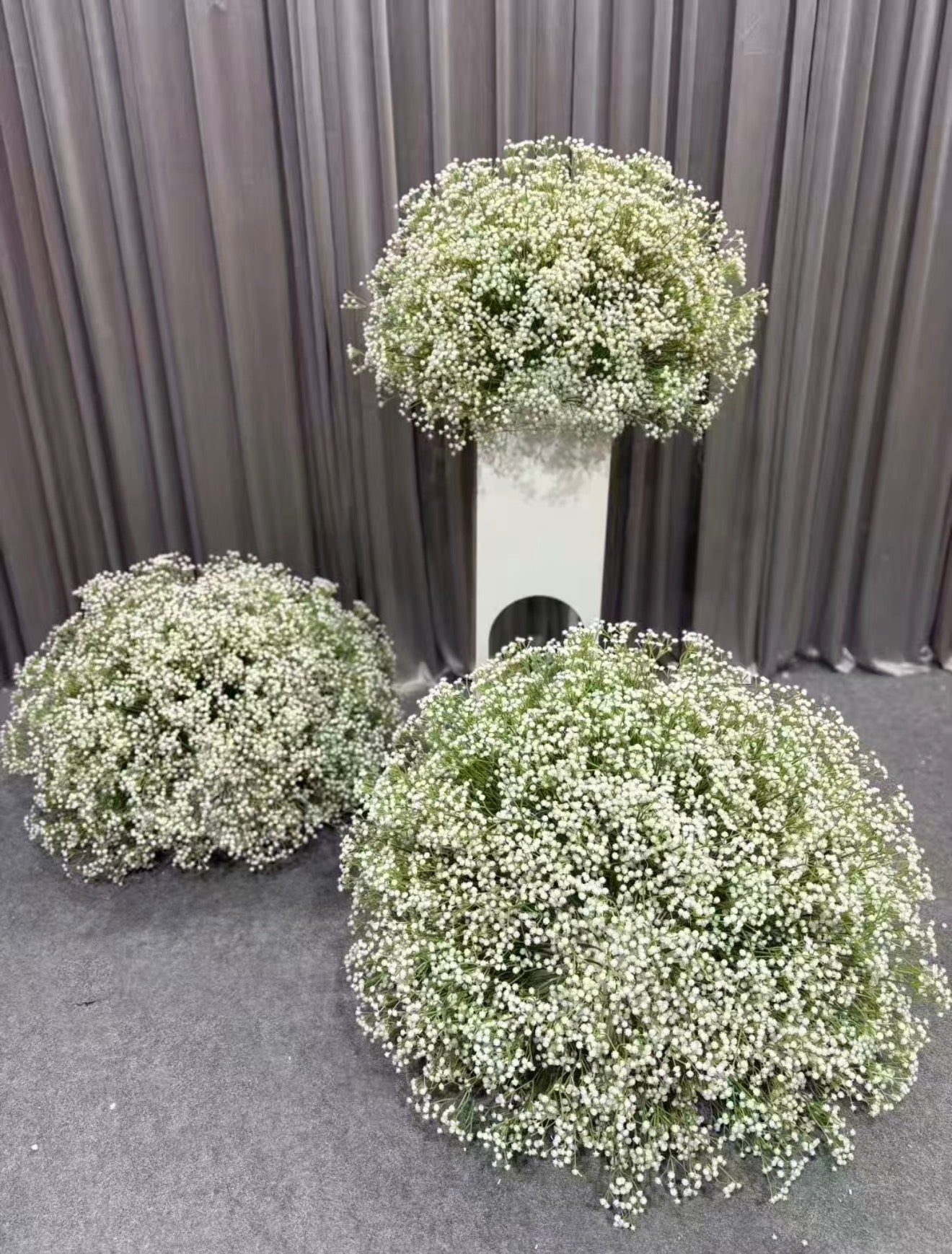 Fleurs gypsophile