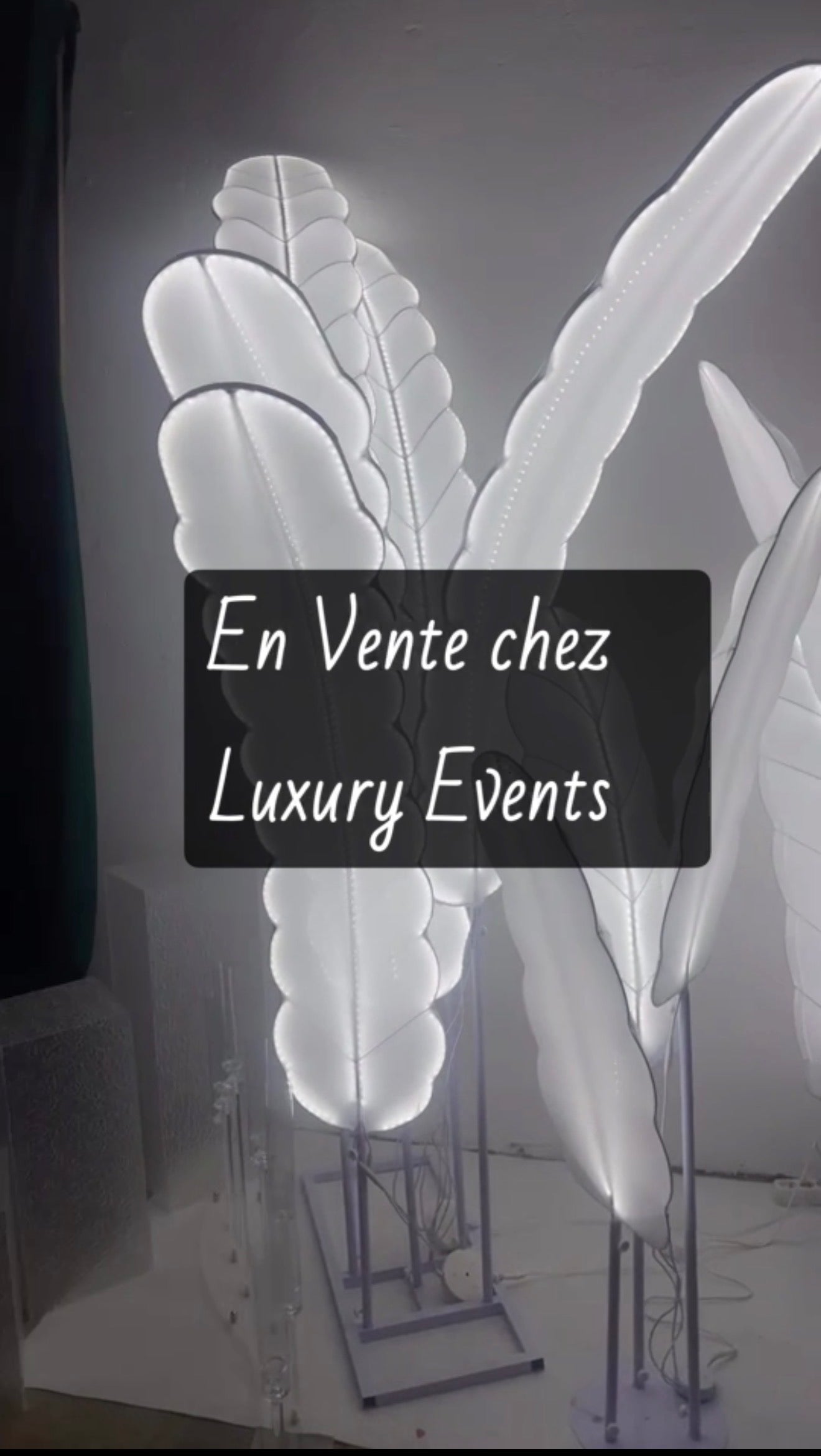 Lot 3 Feuilles de Bananier LED Blanc Dégradé – Éclairage Événementiel | Luxury Events