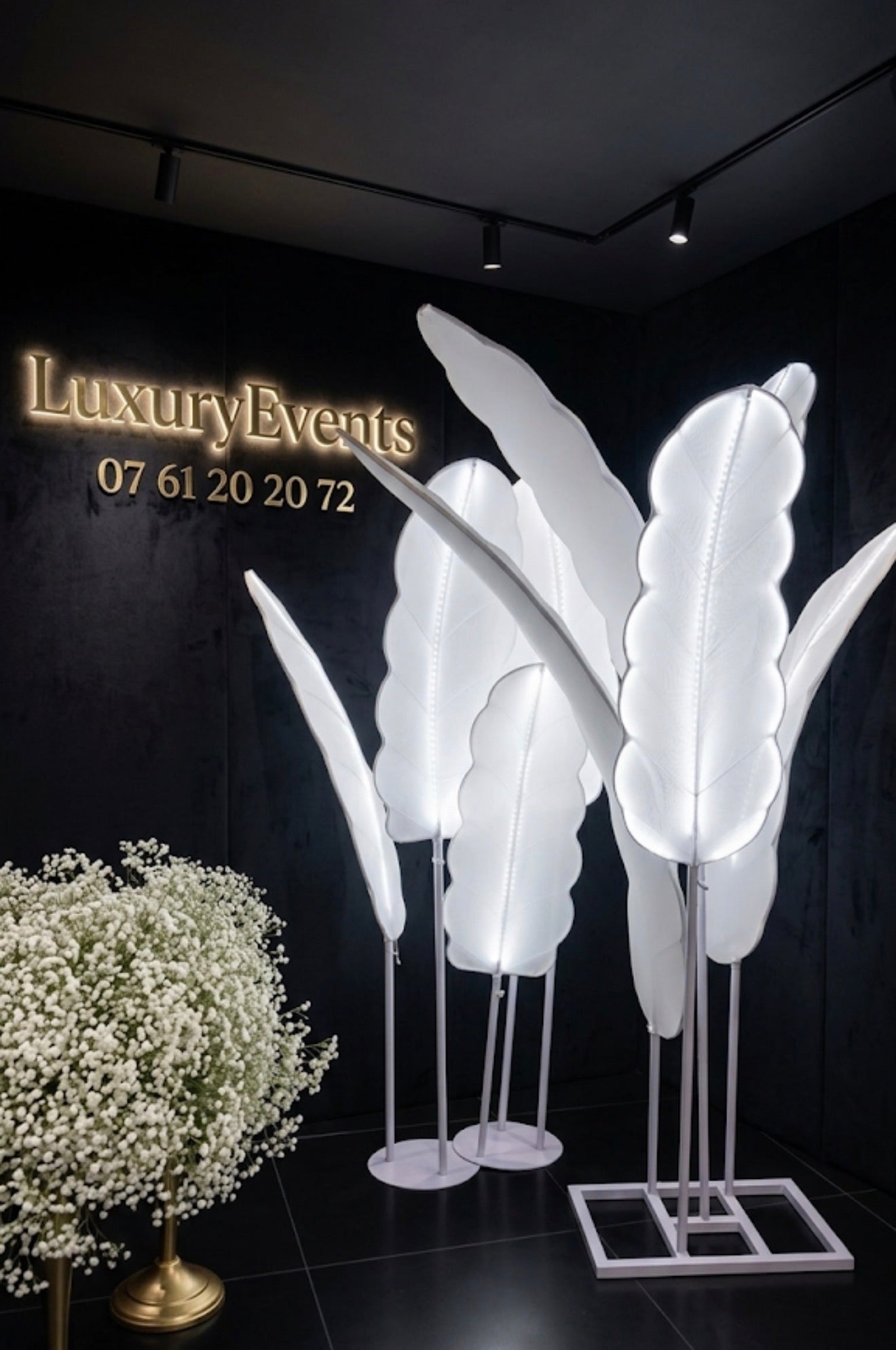 Feuilles de Bananier LED – Location Événementielle Valentigney Montbéliard