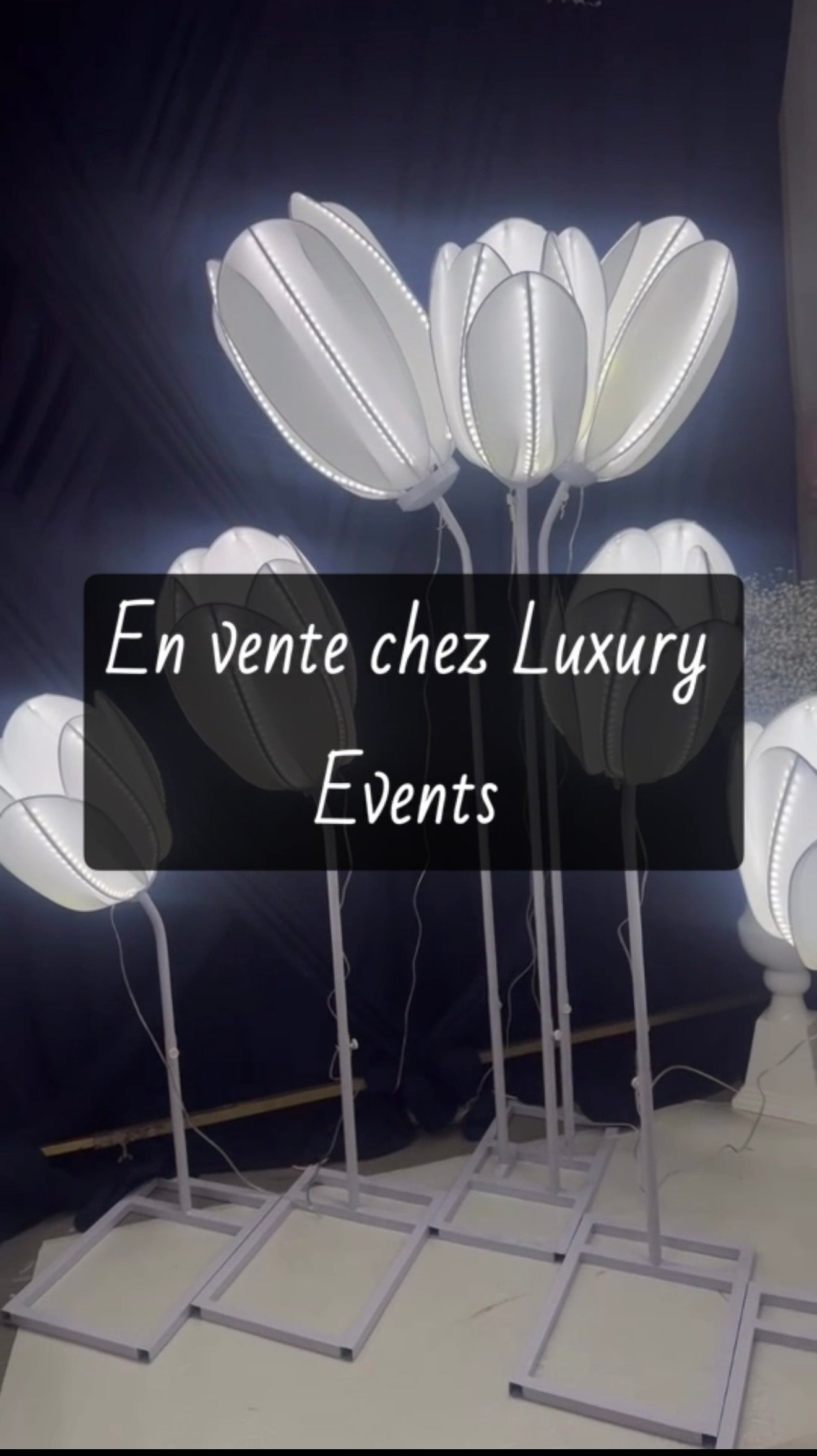 Tulipe Lumineuse LED Blanche Dégradé – jusqu’à 1m20 de Hauteur | Luxury Events